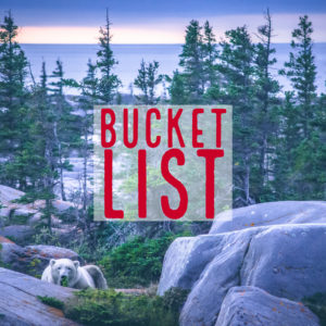 Urban Guides: Bucket List